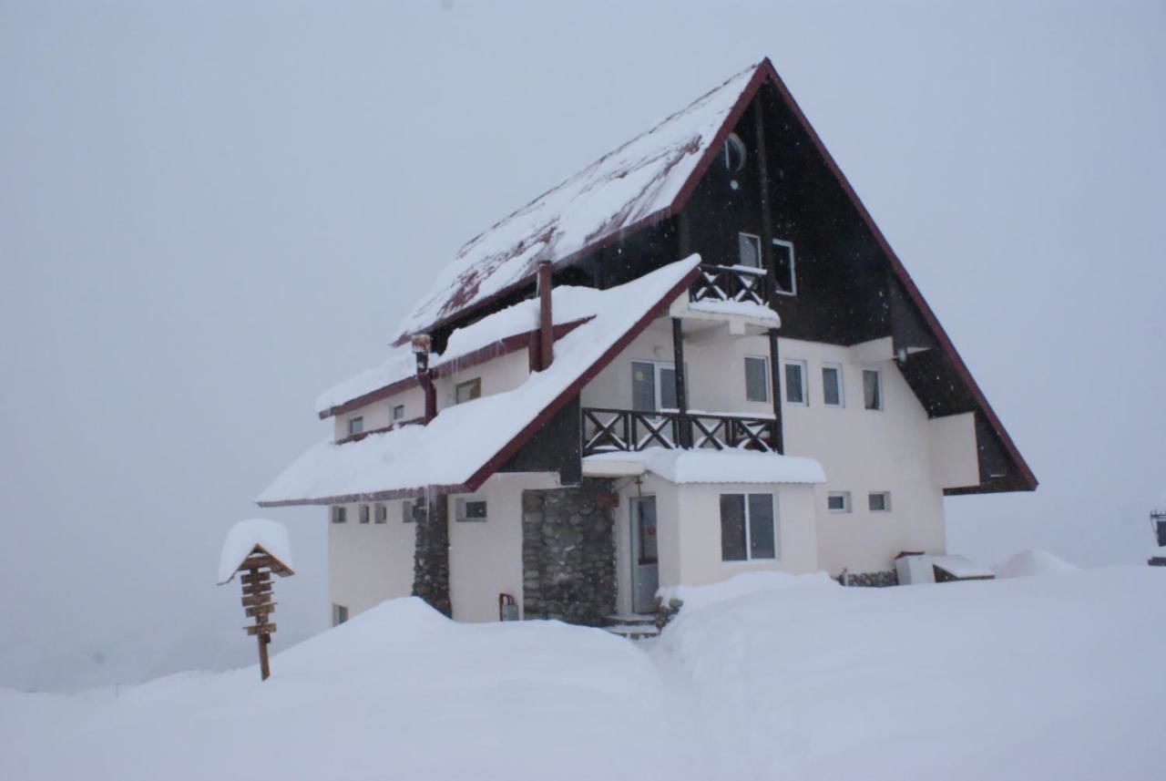 Хостелы Snow House Гудаури-4